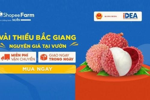 Bộ Công Thương hỗ trợ Bắc Giang ứng dụng thương mại điện tử trong sản xuất, kinh doanh