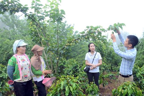 Ra sức thi đua làm theo lời Bác