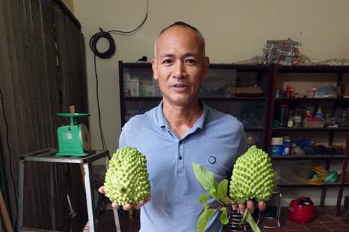Đa dạng dòng, giống để đáp ứng nhu cầu tiêu dùng
