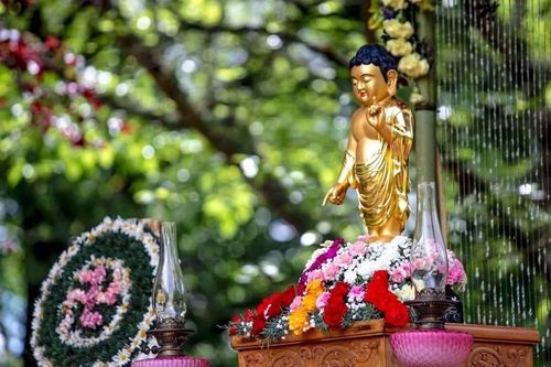 Mời bạn đọc chia sẻ 'Cảm xúc mùa Phật đản'