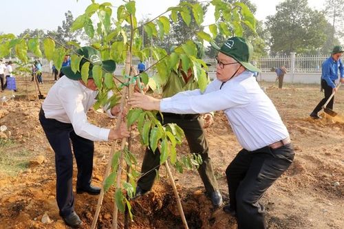 Bình Dương: Phát động 'Tết trồng cây đời đời nhớ ơn Bác Hồ' năm 2023