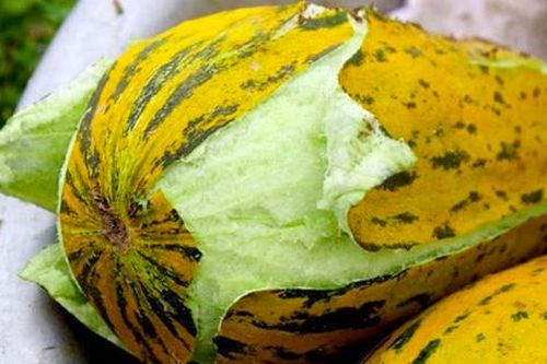 Tác dụng chữa bệnh từ cây dưa bở ít người biết