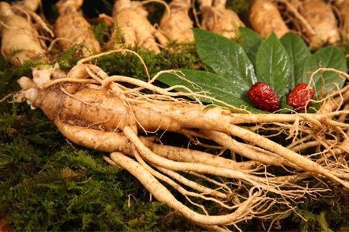 Mẹo xử trí khi say nắng trong Đông y