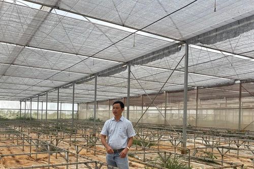 Trang trại nông nghiệp tiền tỷ bỏ hoang do sai pháp lý đầu tư