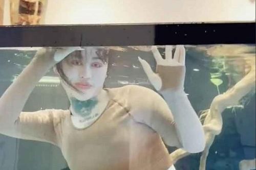 Hot girl TikTok chui vào bể cá để nhận 5 triệu đồng