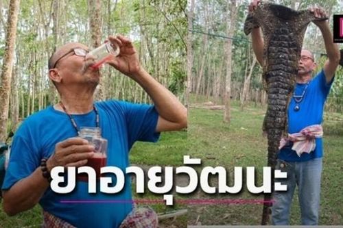 Doanh nhân Thái Lan uống tiết cá sấu 2 lần/ngày để khỏe mạnh