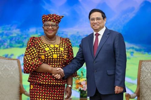 WTO đánh giá cao thành công của Việt Nam về hội nhập quốc tế và phát triển