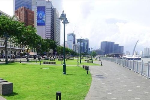 Mái che không thể thay được cây xanh