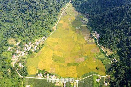 Tuyên Quang: Du lịch rừng Bó Kim - Nà Niếng