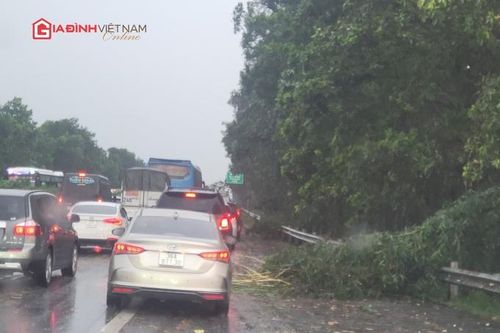 Nhiều cây xanh gãy đổ trên cao tốc Hà Nội – Ninh Bình gây ách tắc giao thông