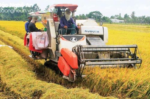 Nghệ An tăng cường quản lý, hạn chế nạn bảo kê máy gặt