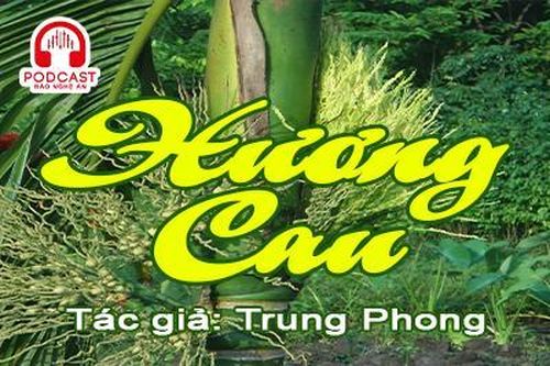 Tản văn hay: Hương cau