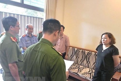 Bắt tạm giam một nữ giám đốc ở Đồng Nai trốn thuế gần 3,6 tỷ đồng
