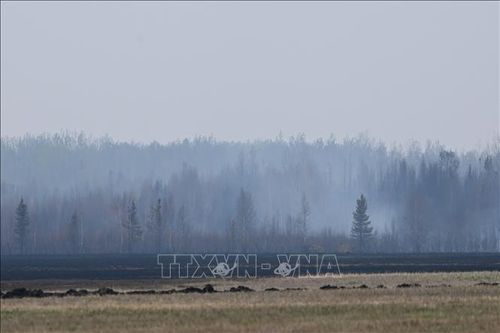 Tỉnh bang Alberta của Canada đóng cửa 12 công viên do nguy cơ hỏa hoạn