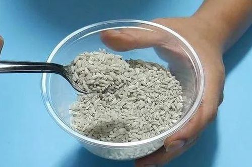 Lấy nắm gạo trộn với thứ này rồi đặt ở góc nhà, cả đàn chuột 'đội nón ra đi'