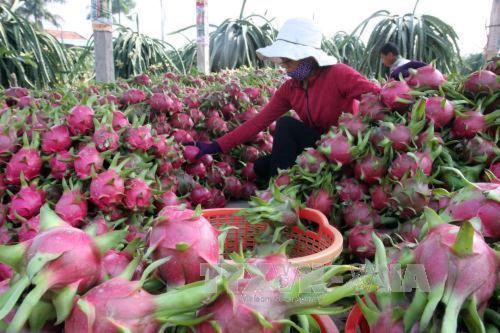 Bộ Công Thương tổ chức xét chọn Doanh nghiệp xuất khẩu uy tín năm 2022
