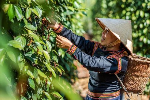 Ngày đa dạng sinh học: Từ cam kết đến hành động