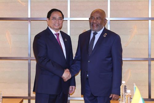 Việt Nam sẵn sàng là cầu nối giữa ASEAN và Liên minh châu Phi