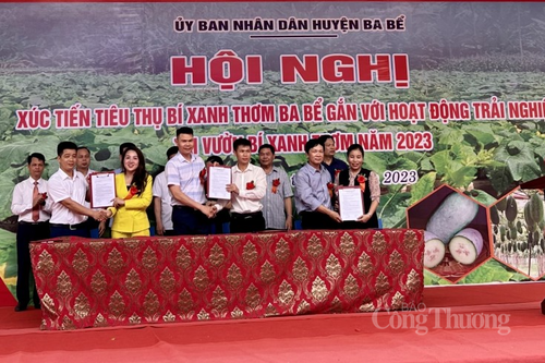 Hình thành các liên kết bền vững để xúc tiến tiêu thụ bí xanh thơm Ba Bể