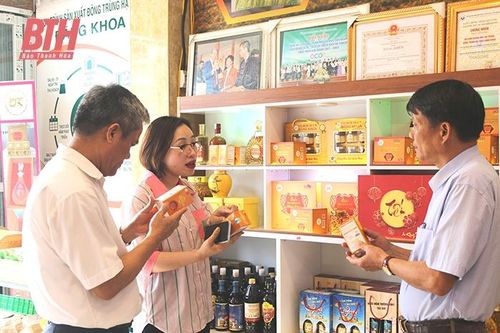 Những 'ông chủ' đông trùng hạ thảo ở vùng biển