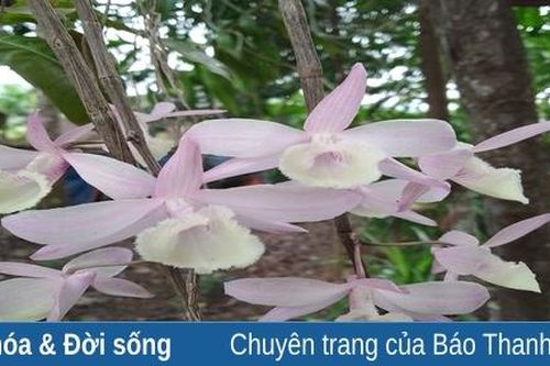 Buổi sáng mai bình yên