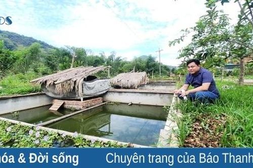 Thanh niên làm giàu trên đồi cằn