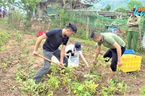 Thúc đẩy liên kết sản xuất nông nghiệp