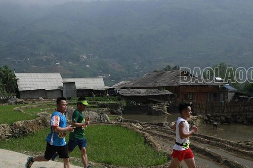 Gần 400 vận động viên tham gia giải chạy 'Sa Pa mùa nước đổ'
