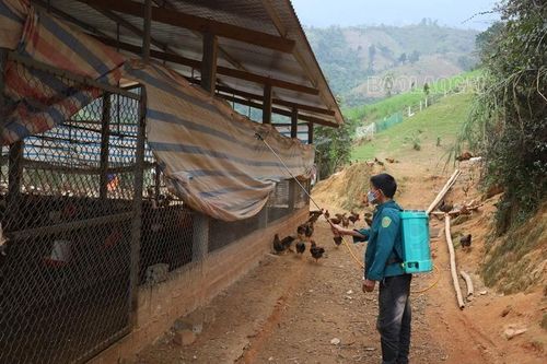 Tăng cường kiểm tra, ngăn chặn việc xuất - nhập lậu gia cầm, sản phẩm gia cầm qua biên giới vào địa bàn