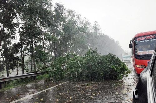 Nhiều cây xanh trên tuyến Pháp Vân - Cầu Giẽ bị gãy đổ do mưa lớn