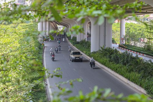 Những con đường rợp bóng mát giữa ngày Hà Nội 'đổ lửa'