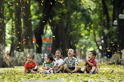 Hà Nội vào mùa sấu
