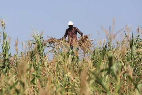 Kenya khai thác tiềm năng để thúc đẩy kinh tế xanh