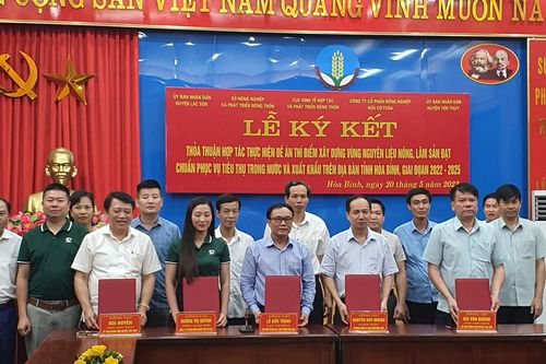 Ký kết thỏa thuận hợp tác xây dựng vùng nguyên liệu cây ăn quả có múi tại Hòa Bình