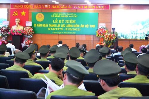 Quản lý tốt, bảo vệ nghiêm để phát triển kinh tế rừng ở Lào Cai
