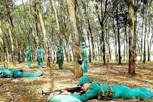 Dân quân tự vệ bảo vệ biên cương