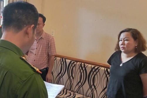 Đồng Nai: Bắt giam giám đốc trốn thuế hơn 3,5 tỷ đồng