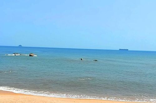 Một thuyền viên bị rơi xuống biển mất tích