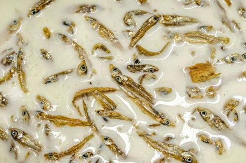Độc đáo kem… cá khô