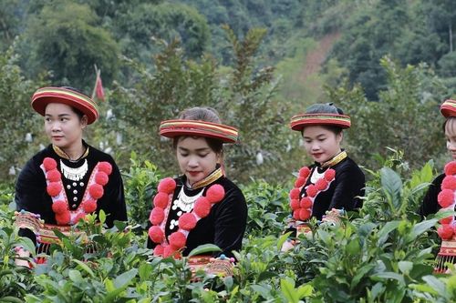 Bắc Kạn xây dựng mô hình điểm về du lịch nông thôn