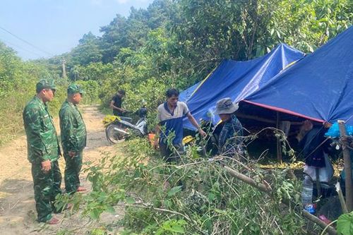 Đà Nẵng: Ngăn chặn nhóm người khai thác lâm sản trái phép