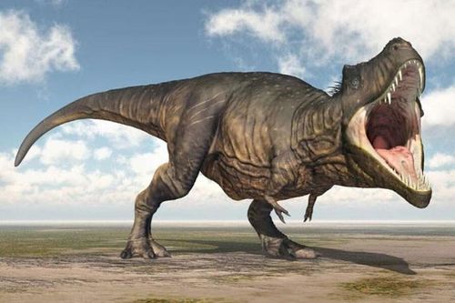 Top 10 sự thật ít người biết về loài khủng long ăn thịt đáng sợ nhất thế giới