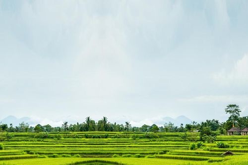Tản mạn người nhà quê