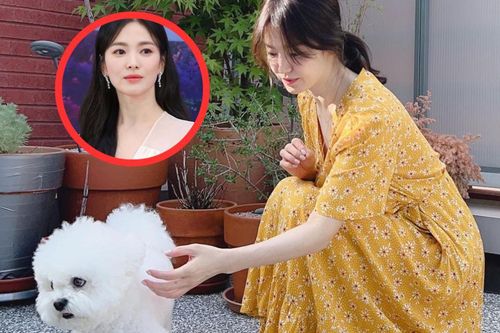 Song Hye Kyo thư thái tận hưởng cuộc sống sau khi bất ngờ dừng hợp tác với Han So Hee