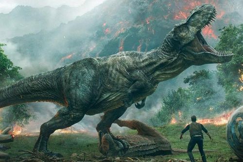 Hai chân trước có kích thước tí hon của khủng long Tyrannosaurus rex có tác dụng gì?