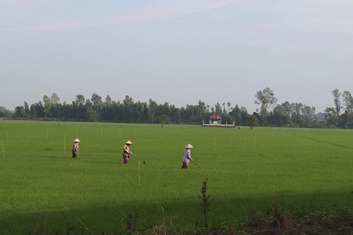 UBND cấp huyện sẽ quyết định giá đất tính tiền bồi thường khi thu hồi đất
