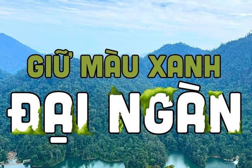 Giữ màu xanh đại ngàn