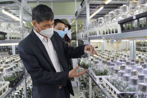 Hà Nội chi 35 tỷ đồng hỗ trợ khởi nghiệp sáng tạo và chuyển đổi số