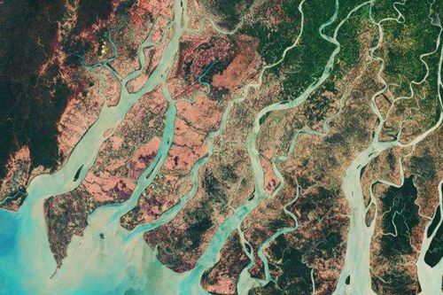 Bảo vệ các 'động mạch' của trái đất