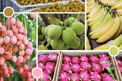 Nông sản vào thị trường EU phải đáp ứng tiêu chuẩn xanh